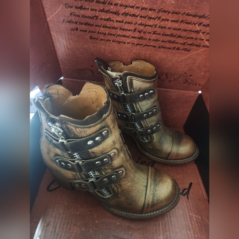 Freebird by Steven Beckett